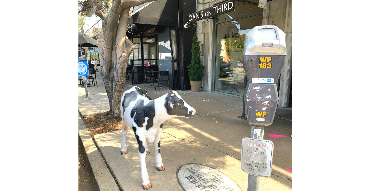 A cow standing next to a parking meter Description automatically generated with medium confidence